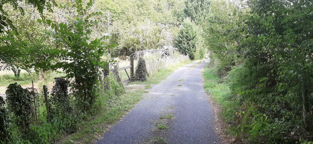 Appartement Cap Nature - Cosy T1 T3 T5 à 3km De Périgueux Boulazac Isle Manoire